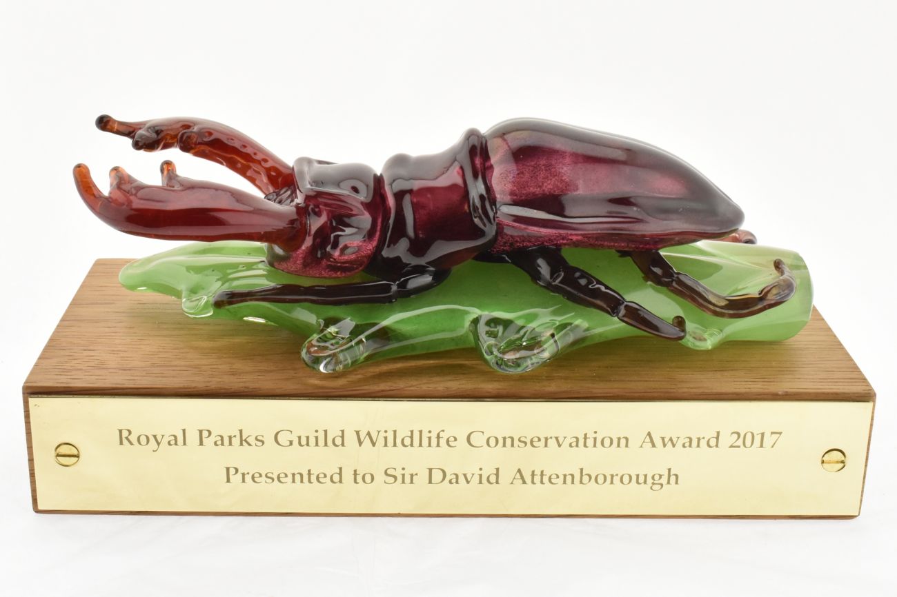 Stag Beetle Conservation Award 2017